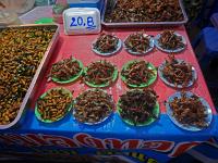 P1030032  Marché de nuit : insectes (à 0,50€ la part) : Thailande Ayutthaya ville