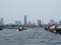 P1040102  Intense activité sur la rivière