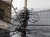 DSC 1790  Les oiseaux ont de quoi se percher !