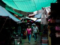 DSC 1730  Allée commerçante ombragée