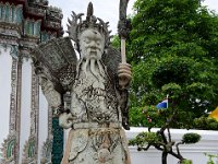 DSC 1360  Garde chinois