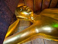 DSC 1365  La tête vue de face