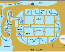 Guérande- Marais salants