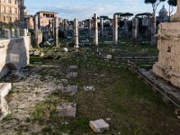 Restes (colonnes) de la basilique Ulpia