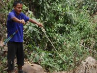 Notre guide avec le serpent attrapé à proximité de Françoise : Thais