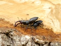 0B0A3192-5A4A-4FD8-941E-47CE111A12CE