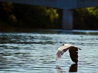 Le peuple de l&#39;eau