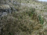 Vue sur l'igue  Un igue est une sorte de puits naturel, en général pas très large, provoqué soit par une cavité karstique remontant jusqu'au niveau du sol , soit par un effondrement du sol au-dessus d'une cavité karstique.