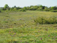 Le causse d'Argentine, extrémité nord