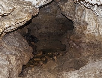 Arrivée sur le ruisseau souterrain  Le lit du ruisseau est atteint à environ une vingtaine de mètres de l'entrée