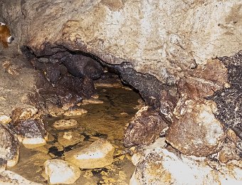 Passage du ruisseau vers la résurgence  Le ruisseau se dirige vers la résurgence à travers un réseau impénétrable
