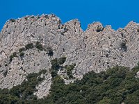 Un curieux cercle de végétationet des varapeurs dans la falaise