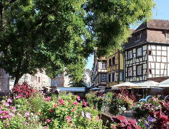 Colmar