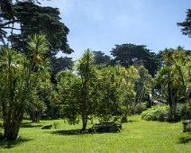 Vue sur les espaces du jardin