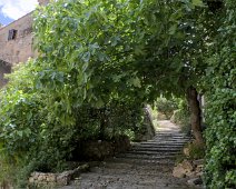 Accès à la falaise de tuf