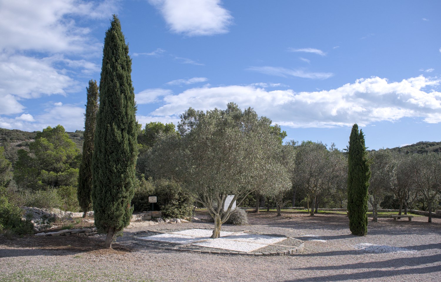 Jardin monastique médiéval (ou jardin des senteurs)