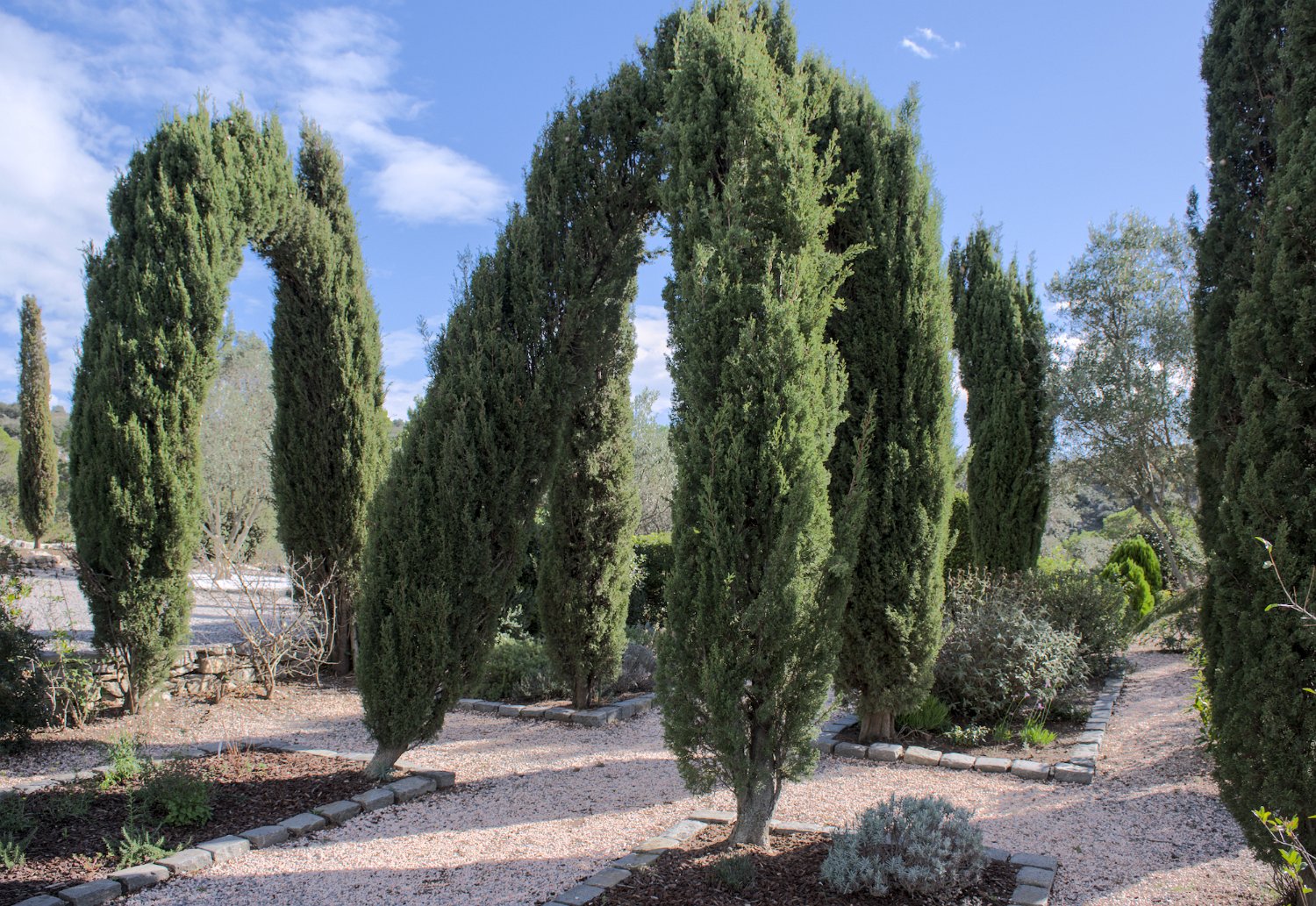 Jardin monastique médiéval
