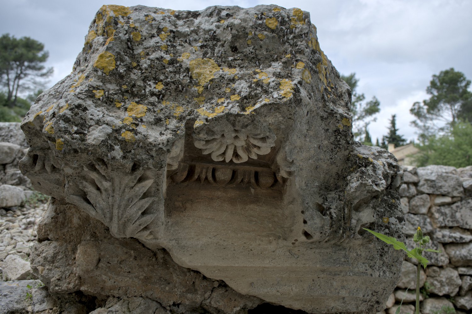 Elément d'architecture de la maison des Antes