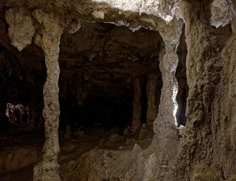 Galerie de la mamelle - Colonnes