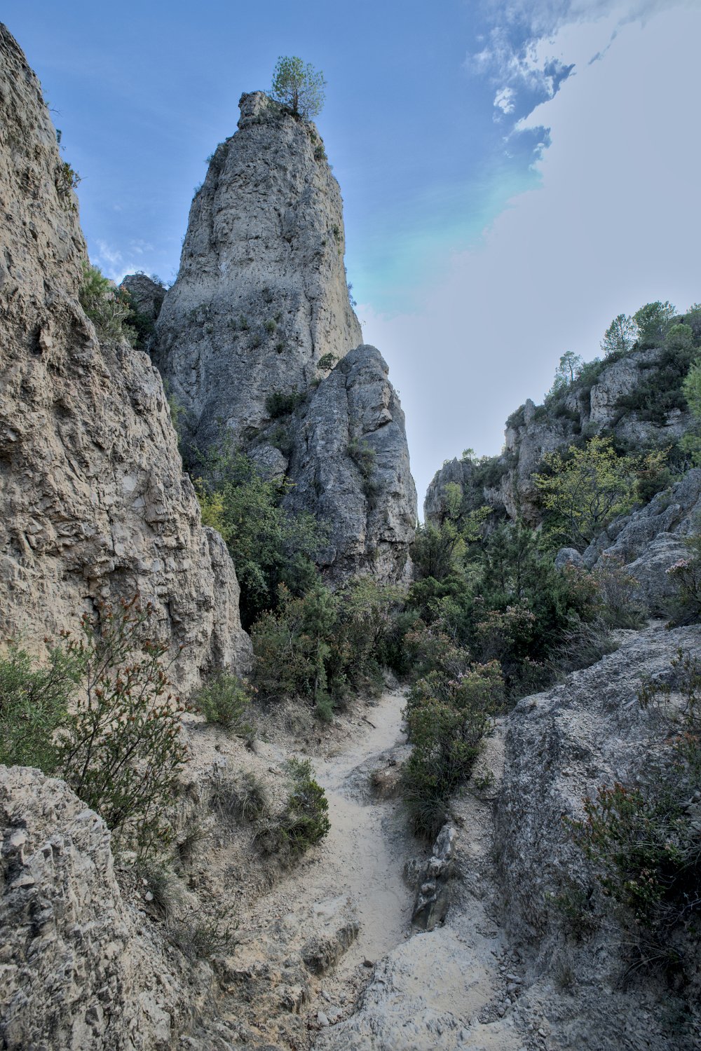 Le sentier de randonnée