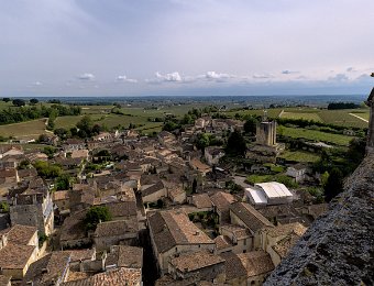 Vue sur les vignobles