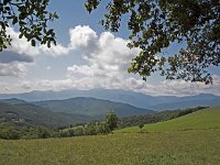 L'environnement naturel du prieuré