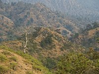 Monts Aravalli entre Ranakpur et Udaipur