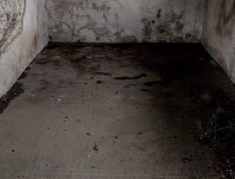 Maison romaine du cryptoportique- Vestiges de mosaïque