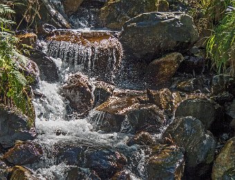 Ruisseau (St Aventin - Haute Garonne)  Olympus OM DE5 - F5 - 1/320 - 60mm - 200 ISO