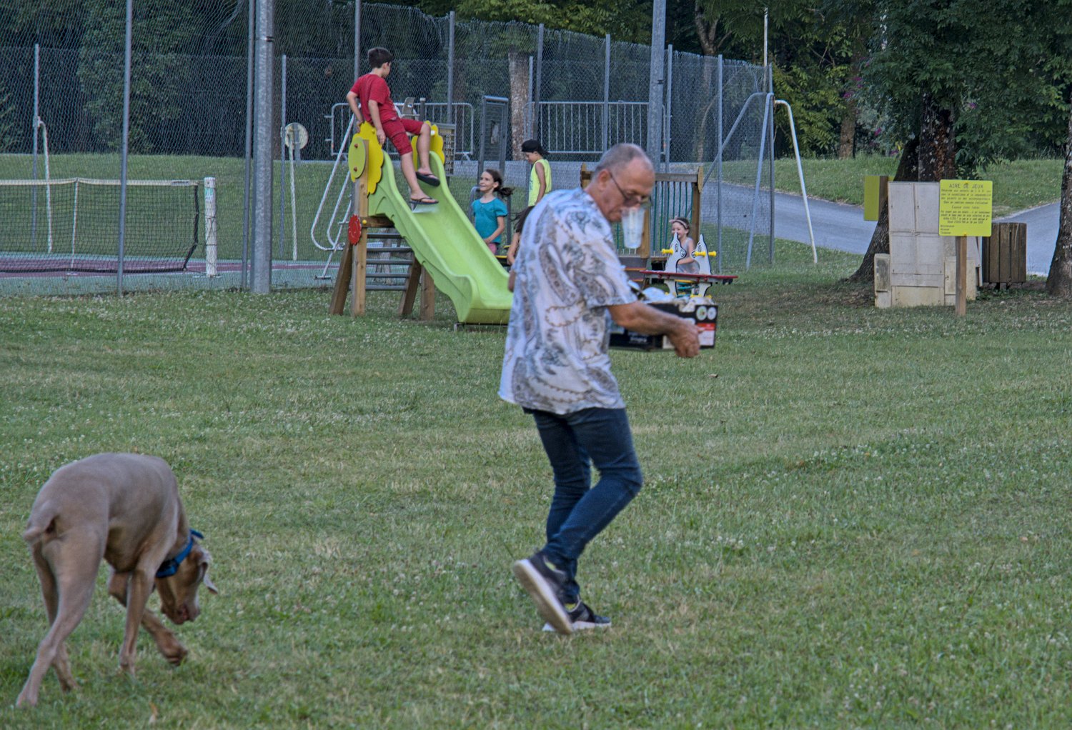 Chien pisteur et gourmand