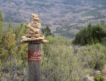 L'environnement naturel