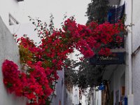 Rue : Cadaqués, rue