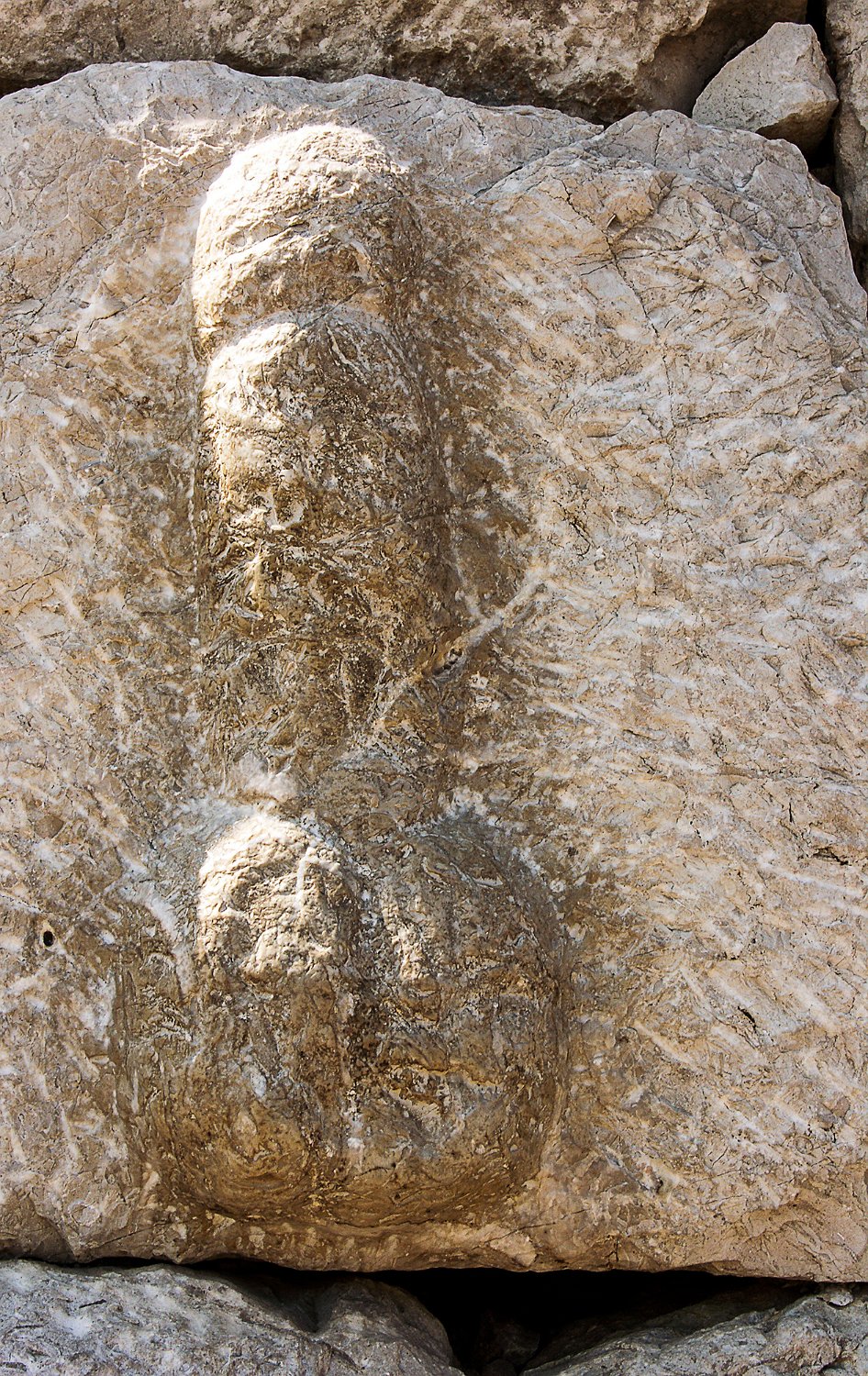 Phallus  gravé dans une pierre de la porte sud