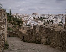 Remparts del Carmen (Murallas del Carmen)