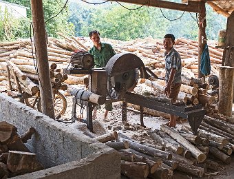 Exploitation du bois