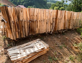 Séchage du bois déroulé