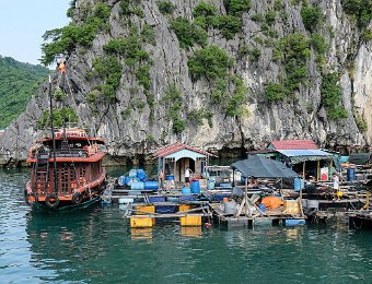 Ferme aquacole dans la baie de Cat Ba