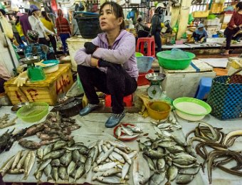 Produits de la mer  au marché de Cat Ba (poissons)