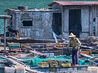 Ferme aquacole : pêche des poissons