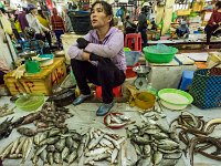 Produits de la mer  au marché de Cat Ba (poissons)