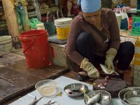 Produits de la mer  au marché de Cat Ba (poissons)