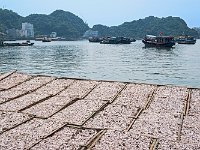 Claies en cours de séchage