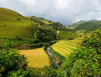Les rivières sont captées sur un point haut pour alimenter ensuite les terrasses par gravité...