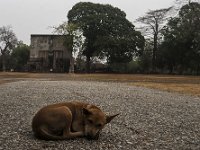 Un autre à Sukkothai